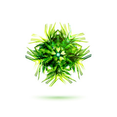 Fototapeta premium Bigest very complex star Logo