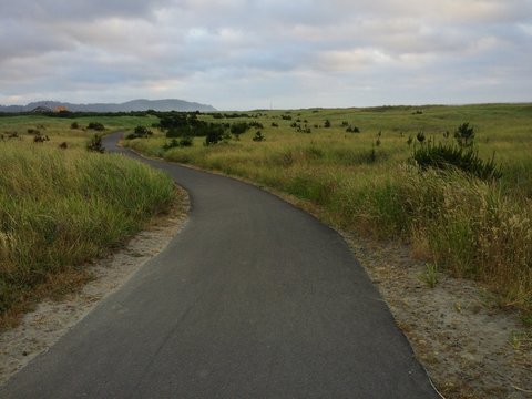 A biking and walkinf trail through seagrass in the early evening