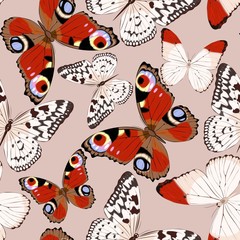 Colorful butterflies seamless