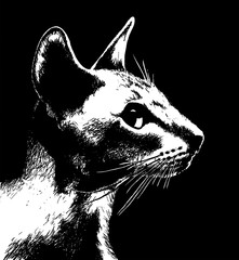 Profile of cat.