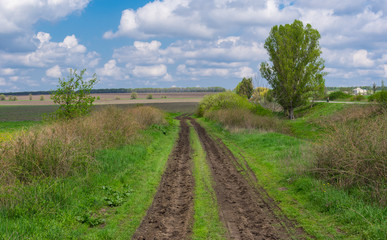 Fototapeta na wymiar Spring landscape with dirty road leading to farm fields near Polivanivka village, Dnepropetrovskaya oblast, Ukraine