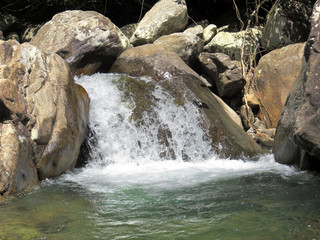 Nascente de água