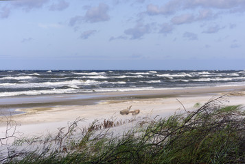 Plaża i morze