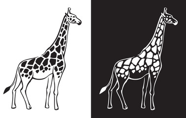 giraffe black and white background