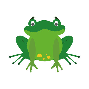 Cute cartoon frog vector illustration