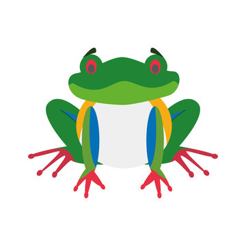 Cute cartoon red-legged frog vector illustration
