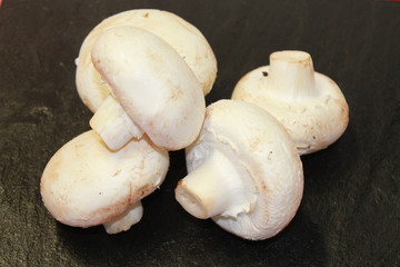 champignons de paris