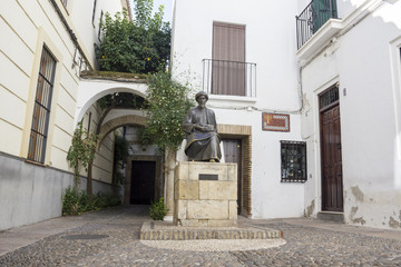 Fototapeta na wymiar Statue of Maimonides in Cordoba - Spain