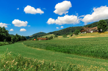 Fototapeta premium Nature. The countryside in Germany.