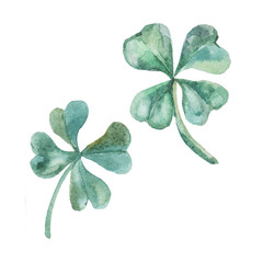 Watercolor clover. St. Patrick Day. - 102455708