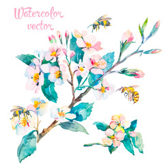 Isolated blossoming branch. Spring flowers and bees.