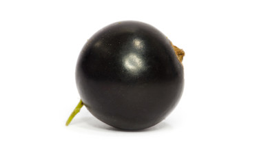 Black currant on the white background