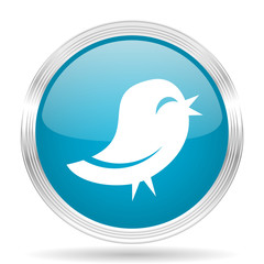 twitter blue glossy metallic circle modern web icon on white background