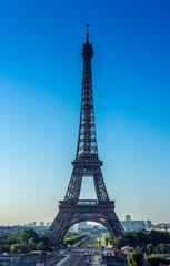 Eiffel tower in a cloudless morning in Paris