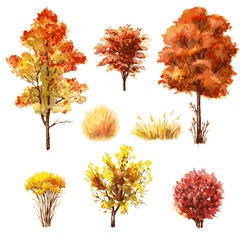 Obraz premium Set of autumn trees and bushes.