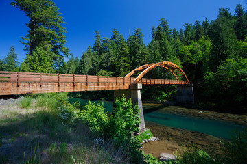 Fototapeta premium Tioga Bridge Over North Umpqua River