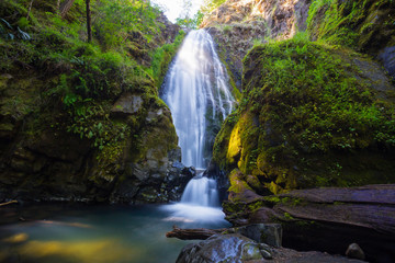 Fototapeta na wymiar Susan Creek Falls Oregon