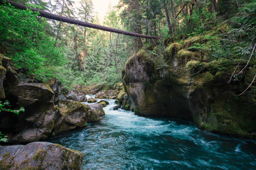 Toketee Falls Umpqua River