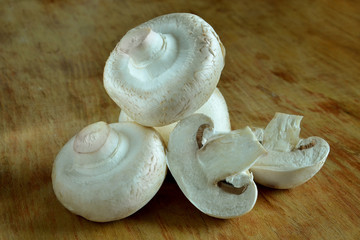 champignon, mushroom, agaricus.