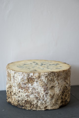 Stitchelton cheese round