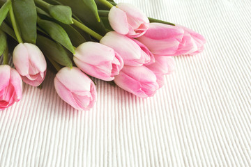 Pink tulips on white tablecloth. Toned, soft focus