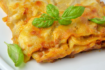 Close Up of Lasagna
