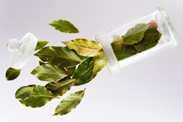 bay leaves © Hrab 67