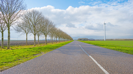 Road through the countryside in winter