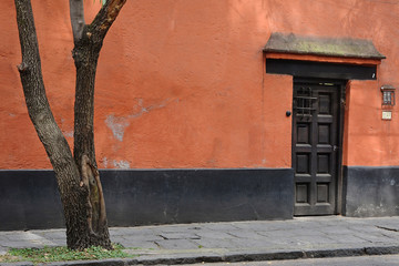 Coyoacan neighborhood, Mexico City. - 102464726