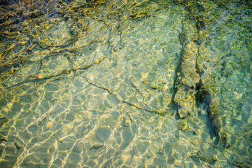 Sparkling water at Plitvice Lakes National Park Croatia
