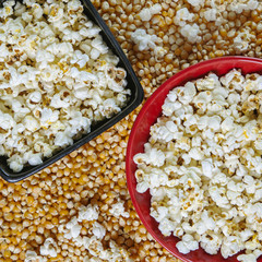 Popcorn snacks in bowls on bed of corn.
