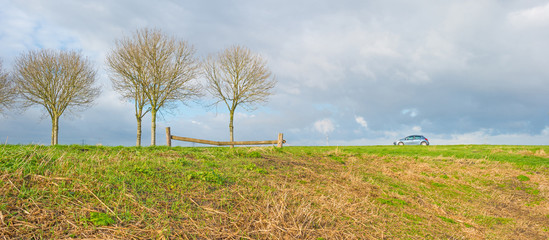 Obraz premium Row of trees in a cloudy sky in winter