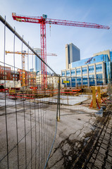 Fototapeta premium FFM