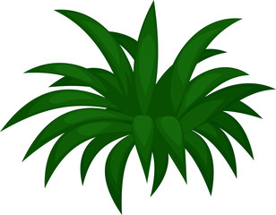 Fototapeta na wymiar vector palm leaf