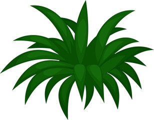 vector palm leaf