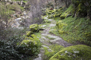 mountain path and stones with moss, Caminho dos Moleiros, Castelo Novo, Portugal