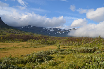 View on subarctic tundra and beech forest in Swedish Lapland