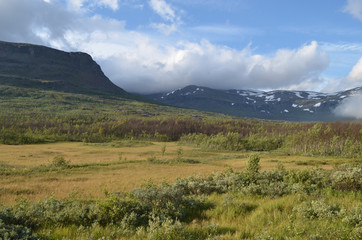 Fototapeta premium View on subarctic tundra and beech forest in Swedish Lapland