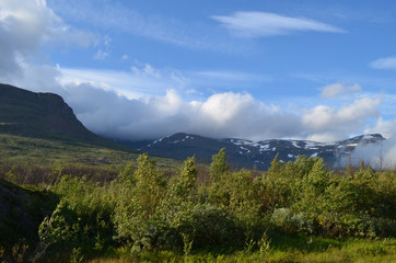 Obraz premium View on subarctic tundra and beech forest in Swedish Lapland