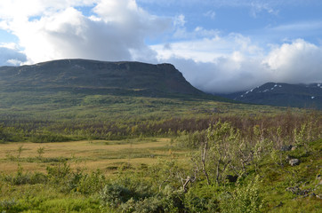 Fototapeta premium View on subarctic tundra and beech forest in Swedish Lapland