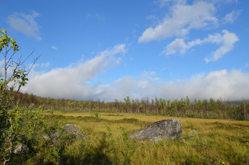Granite rock in marsh surrounded by beech forest in subarctic Swedish tundra