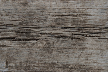 empty crack wood background