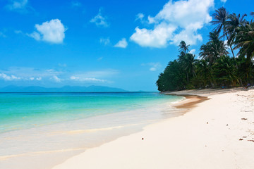 Exotic tropical beach.