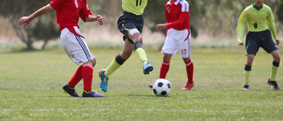 Obraz premium Piłka nożna