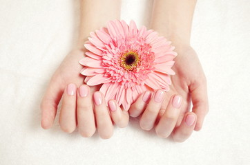 female hands in salon