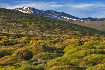 Parque Nacional de Sierra Nevada - Spain
