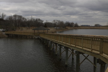 WETLAND IN NEW JERSEY