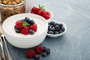 Natural yogurt in a bowl with berries