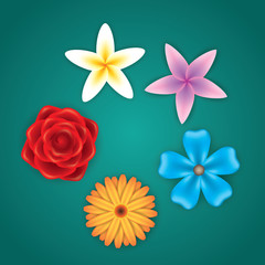 Flower icons