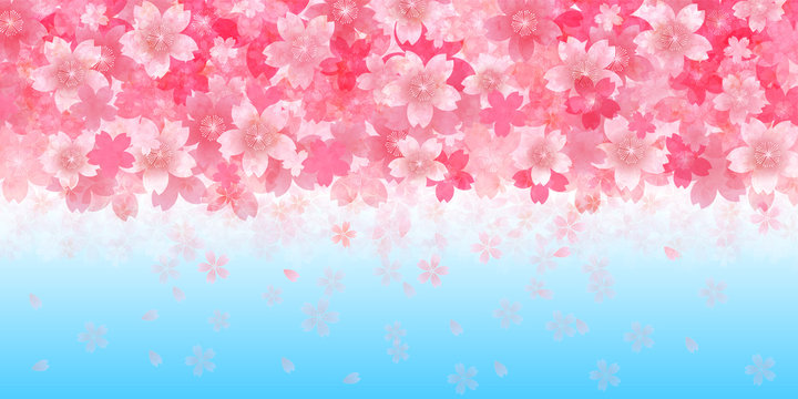 桜　春　花　背景